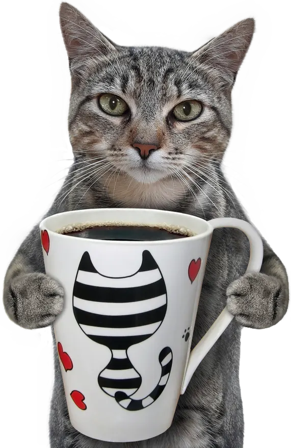 Cat Mug