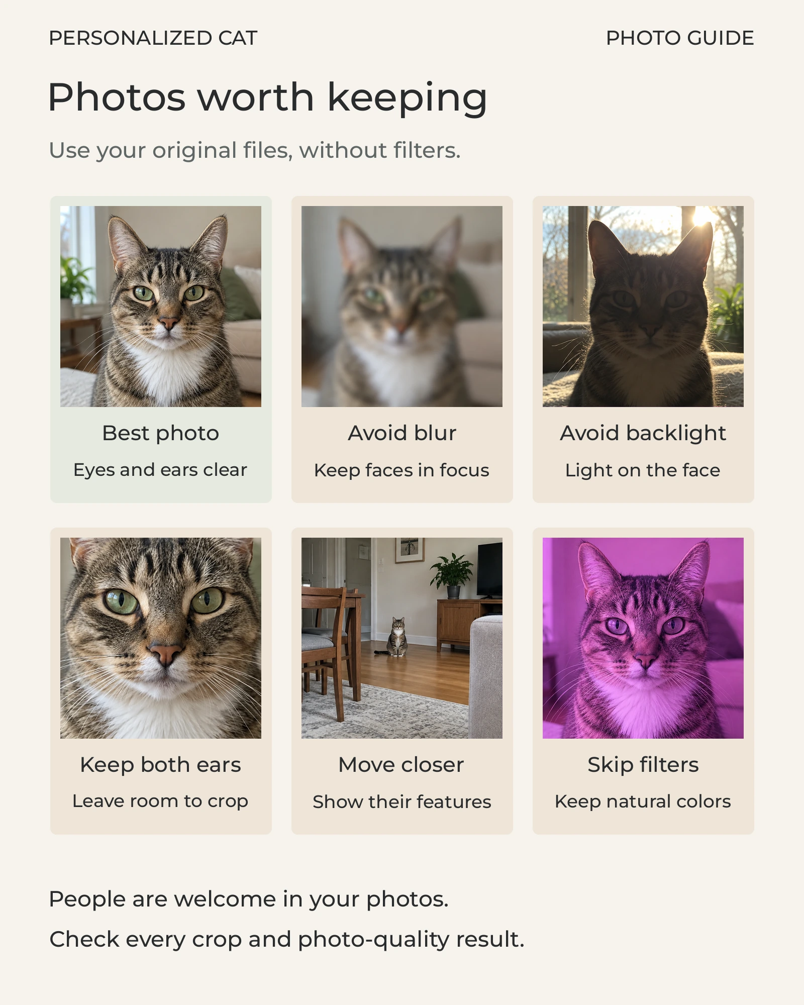Photo guide with a tabby-and-white cat, showing clear features, blur, backlight, cropped ears, distant subjects, and filters. People are welcome in photos.