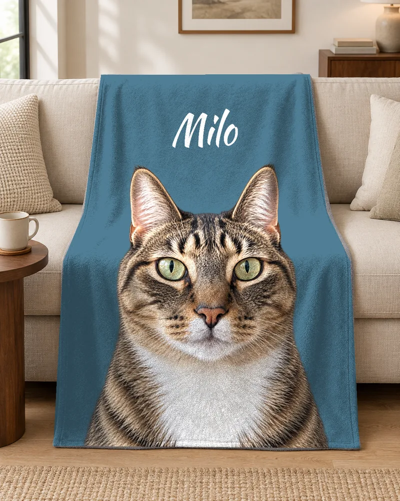 Milo’s blue portrait blanket draped over a cream sofa.